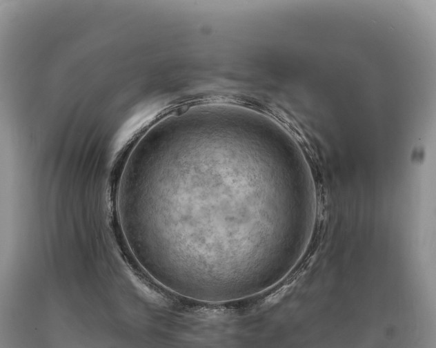 X0000090630245200707241159