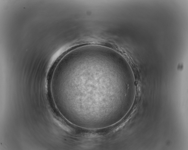 X0000090630246200707241159