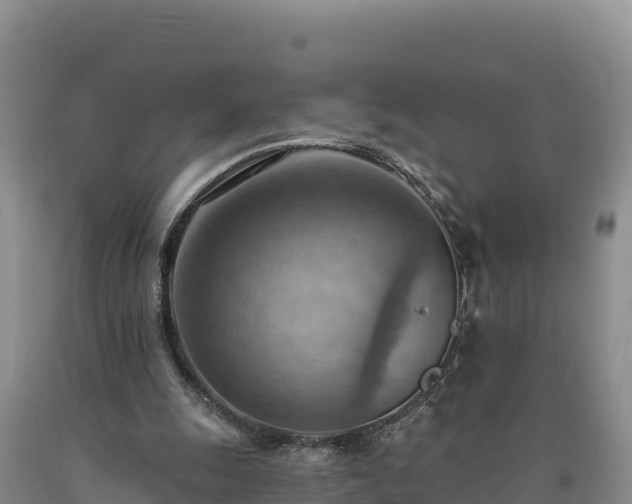 X0000090630247200707241159