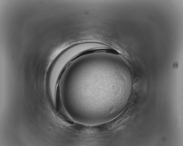 X0000090630248200707241159