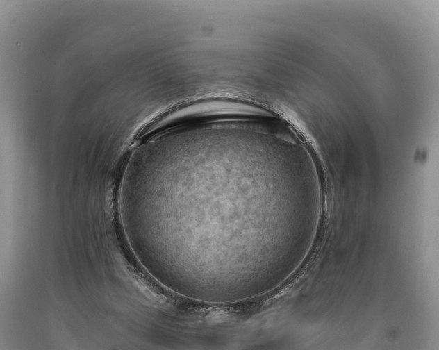 X0000090630249200707241159