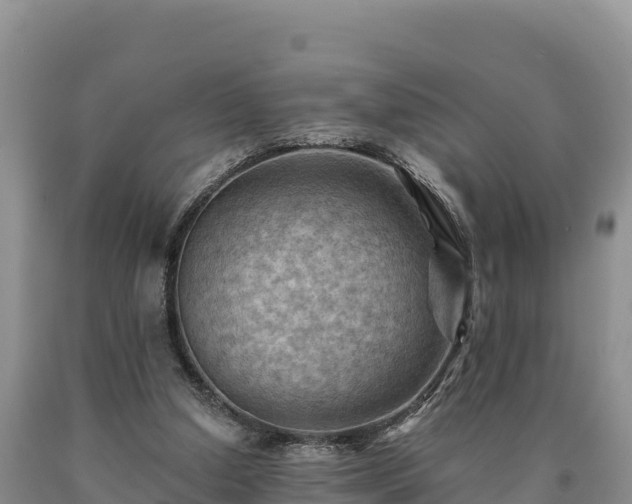 X0000090630250200707241159