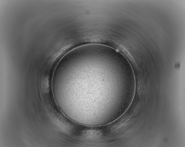X0000090630251200707241159