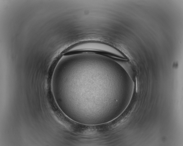 X0000090630252200707241159