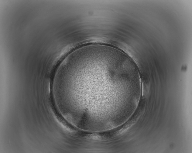 X0000090630253200707241159