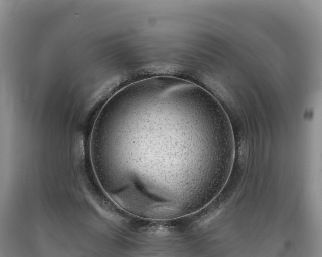 X0000090630254200707241159