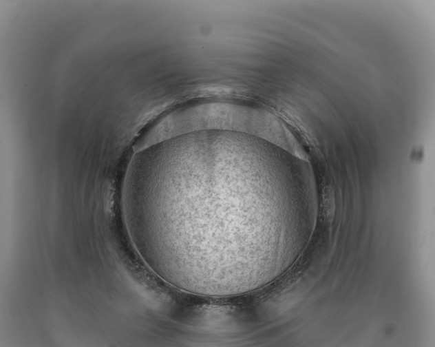 X0000090630255200707241159