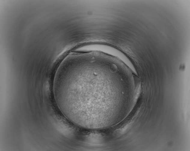 X0000090630256200707241159