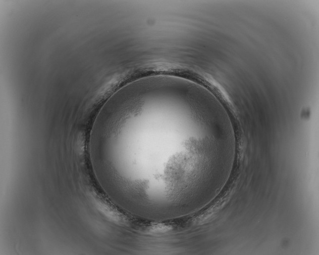 X0000090630257200707241159