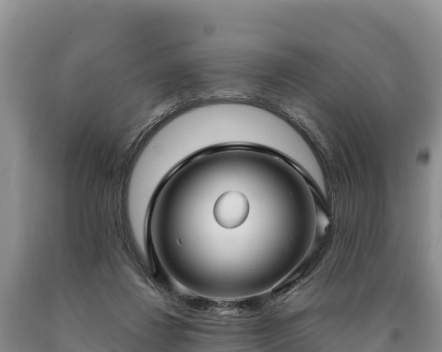 X0000090630260200707241159