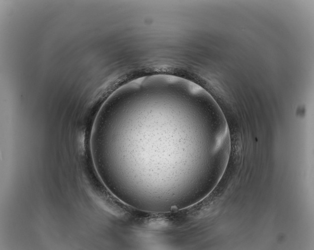 X0000090630262200707241159