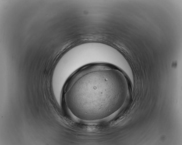X0000090630264200707241159