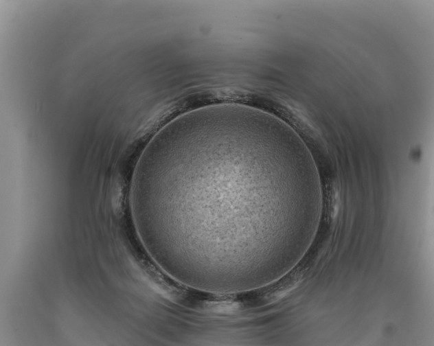 X0000090630266200707241159