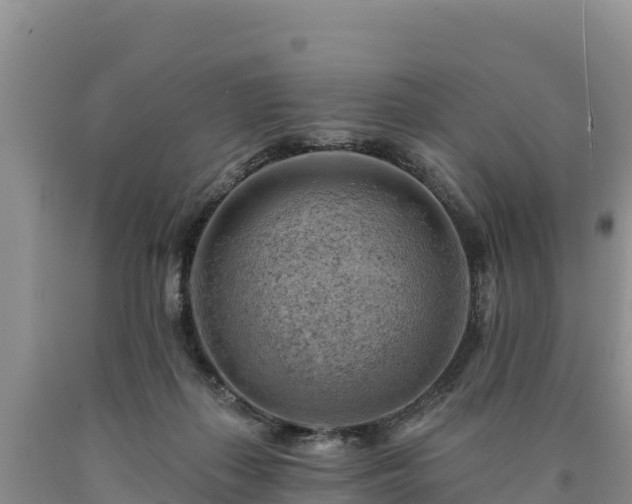 X0000090630267200707241159