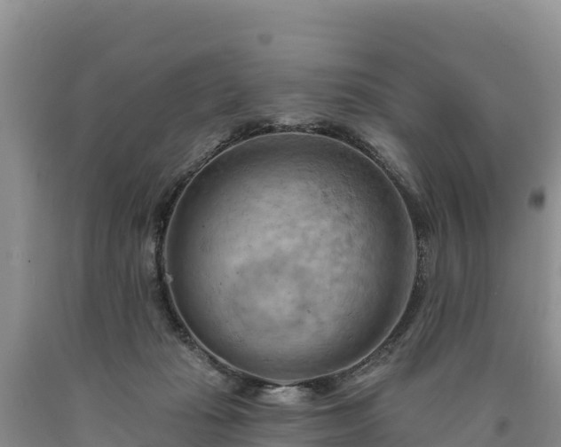 X0000090630269200707241159