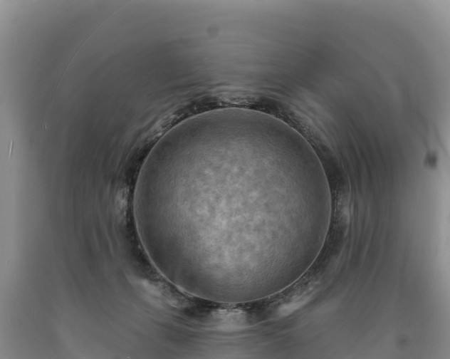 X0000090630271200707241159