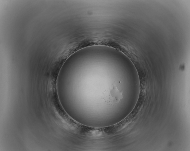 X0000090630272200707241159
