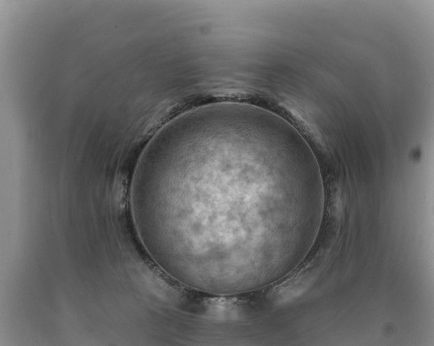 X0000090630273200707241159