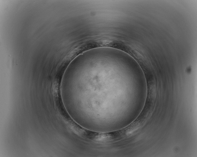 X0000090630274200707241159
