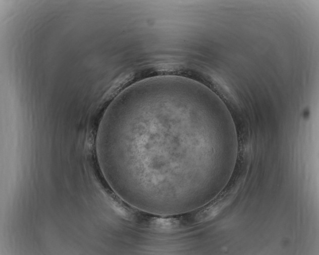 X0000090630277200707241159