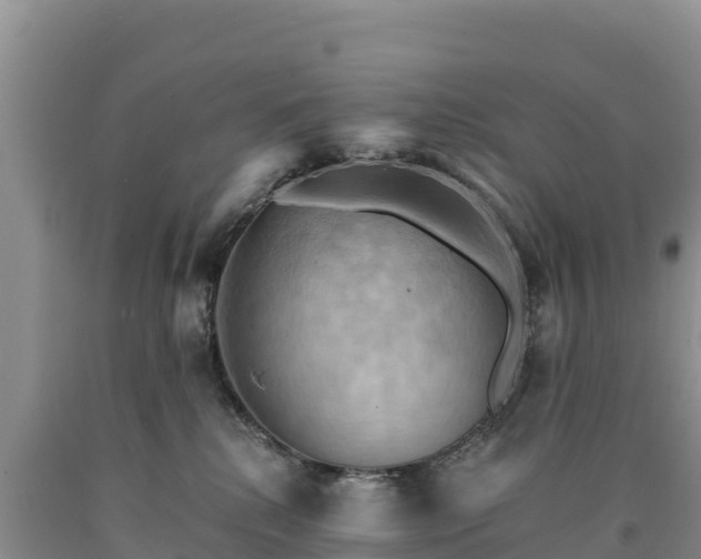 X0000090630280200707241159