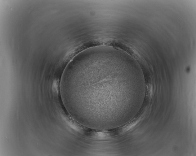 X0000090630286200707241159