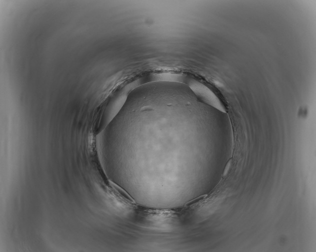 X0000090630288200707241159