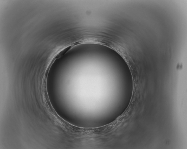 X0000090630289200707241159