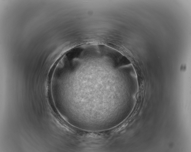 X0000090630290200707241159