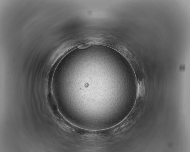 X0000090630291200707241159