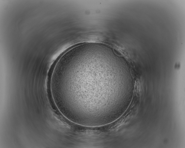 X0000090630292200707241158