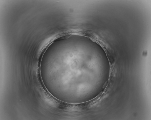 X0000090630293200707241158
