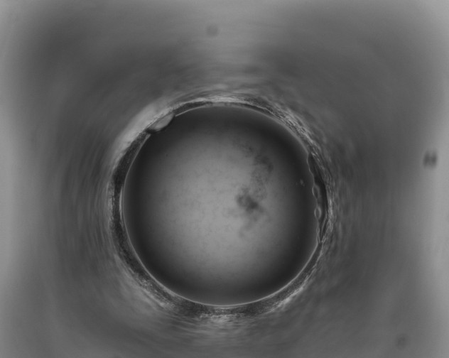 X0000090630295200707241158