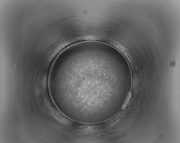 X0000090630297200707241158