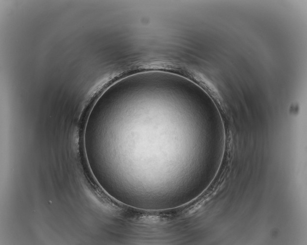 X0000090630298200707241158