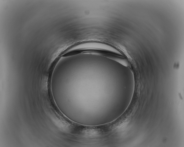 X0000090630299200707241158