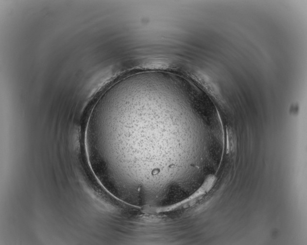 X0000090630300200707241158