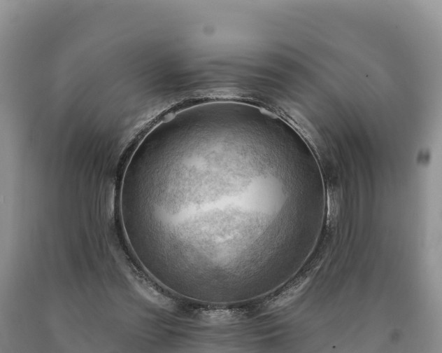 X0000090630301200707241158