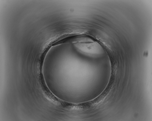 X0000090630303200707241158