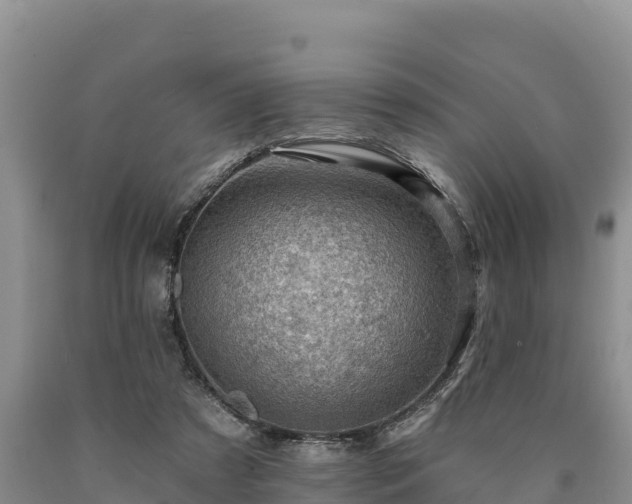 X0000090630305200707241158
