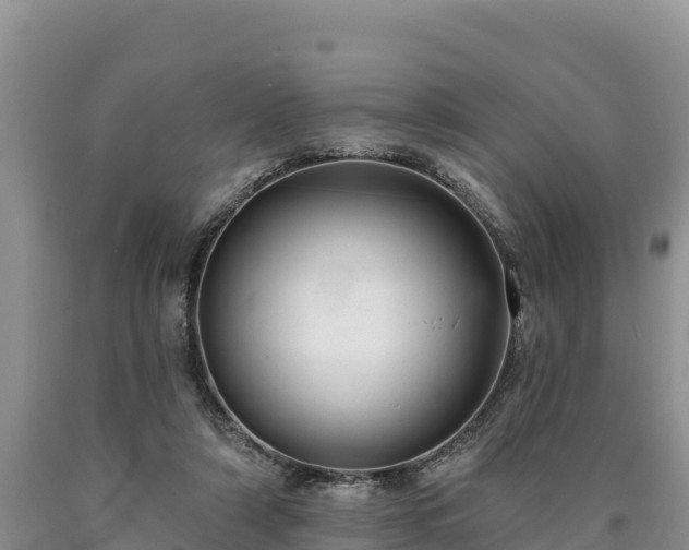 X0000090630306200707241158