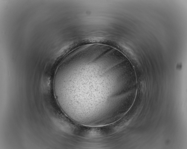 X0000090630308200707241158