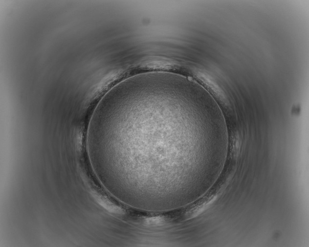 X0000090630309200707241158