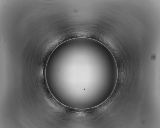 X0000090630310200707241158