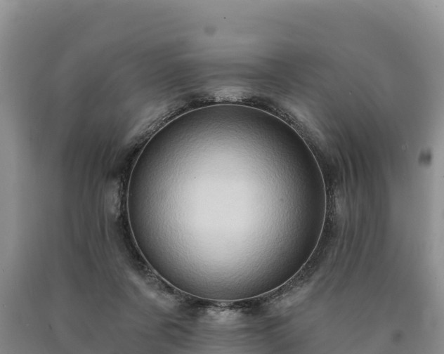 X0000090630311200707241158