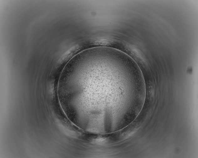 X0000090630312200707241158