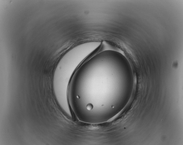 X0000090630313200707241158
