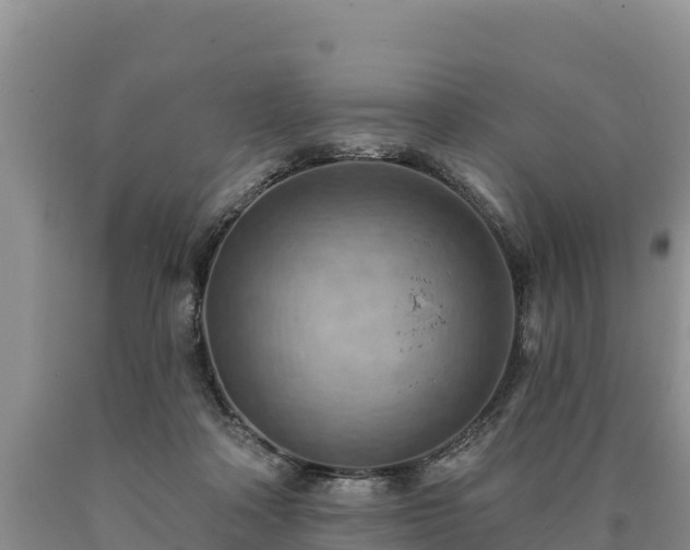 X0000090630314200707241158