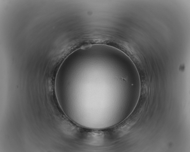 X0000090630317200707241158