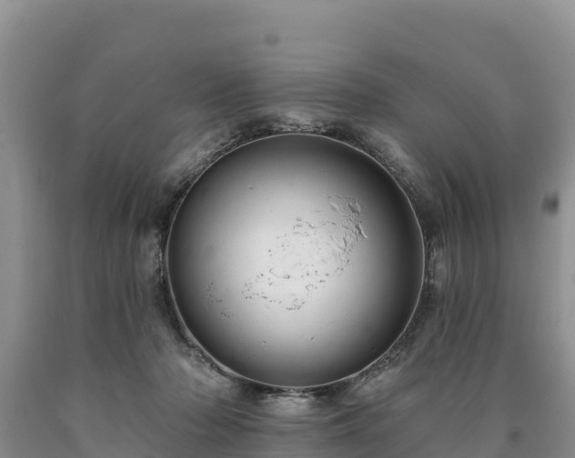 X0000090630318200707241158
